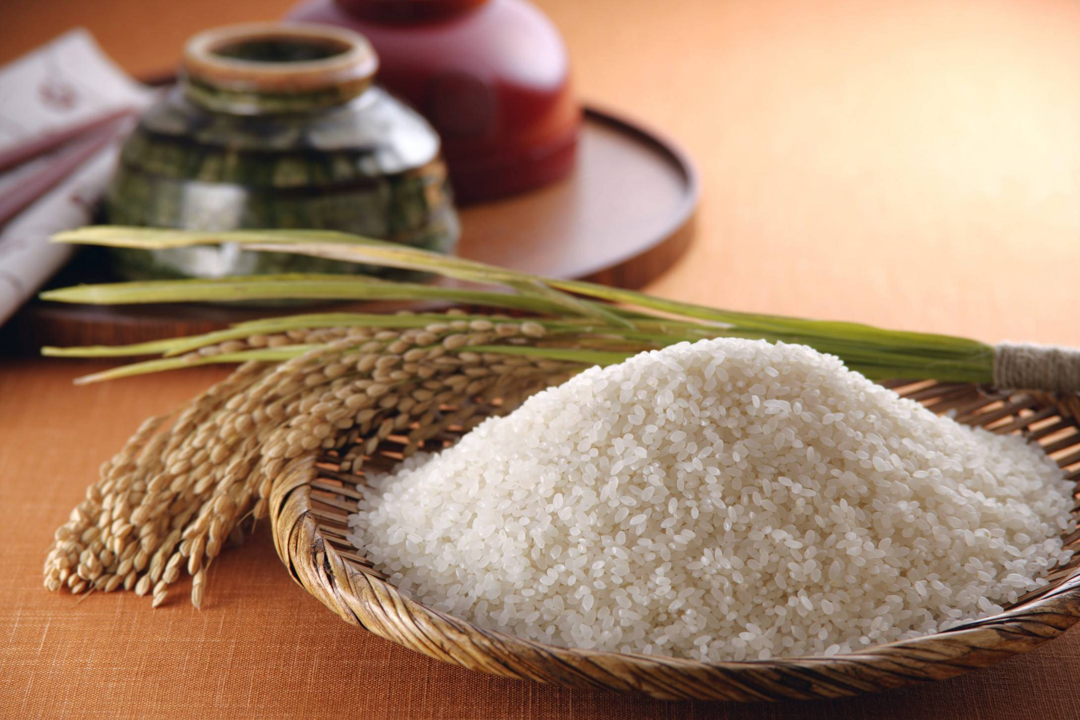 bulk rice protein powder